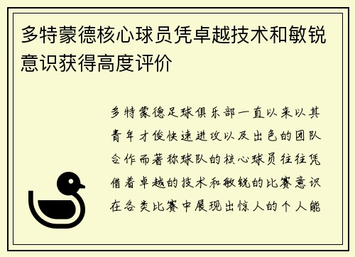 多特蒙德核心球员凭卓越技术和敏锐意识获得高度评价