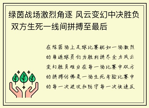 绿茵战场激烈角逐 风云变幻中决胜负 双方生死一线间拼搏至最后